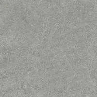 TH_24750001_800_800